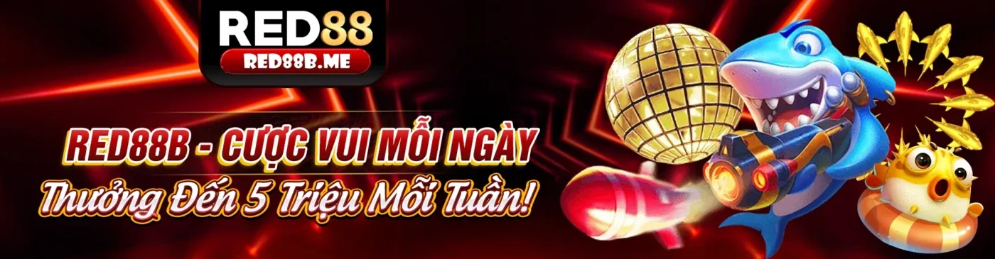 Cá cược trực tiếp qh88b