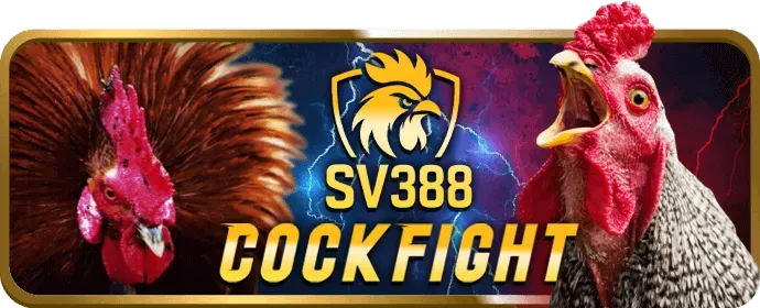 Chương trình VIP qh88b
